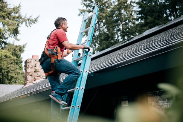 Best Roof Ventilation Installation  in Iron Mountain, MI